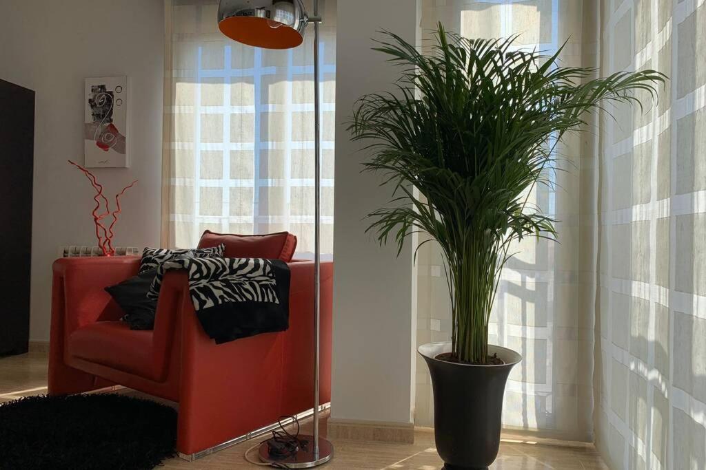 Apartamento Miramar . Amplitud Y Comodidad อัลมาโซรา ภายนอก รูปภาพ